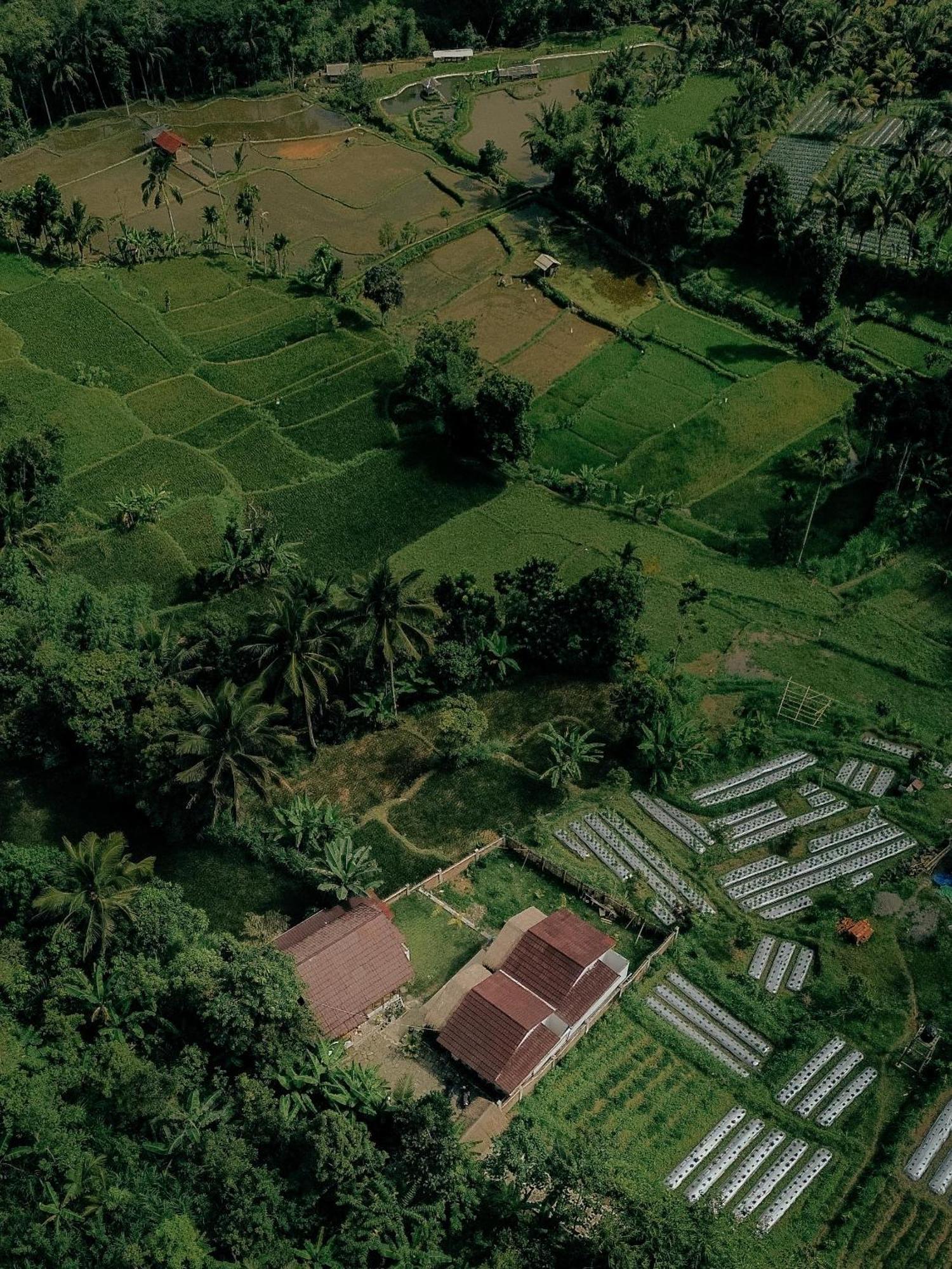 Alora House Lombok Tete Batu Hotel Tetebatu Buitenkant foto